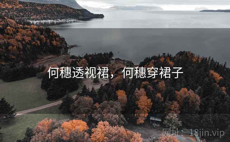 何穗透视裙，何穗穿裙子