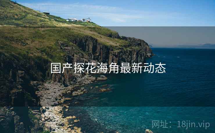 国产探花海角最新动态