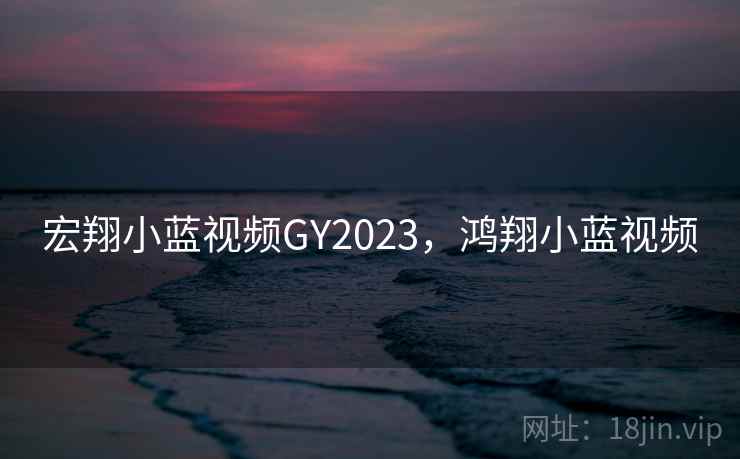 宏翔小蓝视频GY2023,鸿翔小蓝视频 宏翔小蓝视频GY2023,鸿翔小蓝视频