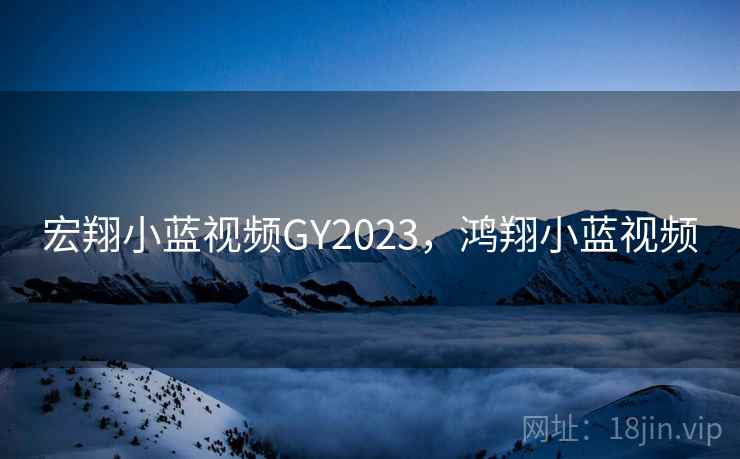 宏翔小蓝视频GY2023,鸿翔小蓝视频