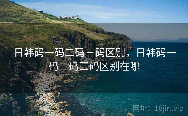 日韩码一码二码三码区别,日韩码一码二码三码区别在哪 日韩码一码二码三码区别,日韩码一码二码三码区别在哪